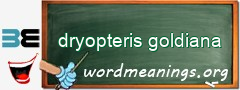 WordMeaning blackboard for dryopteris goldiana